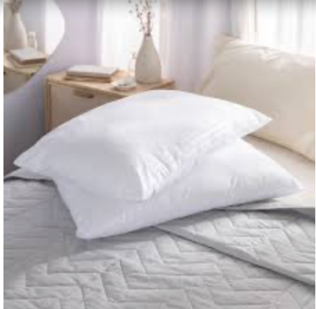 Almohadas viscoelásticas (x2)